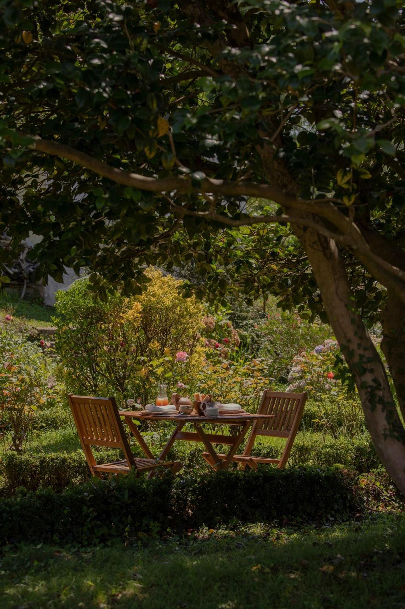 Maison Gamboia, Chambres D'Hotes Au Calme Avec Jardin Hasparren Ngoại thất bức ảnh